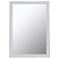 Hitchcock-Butterfield Hitchcock Butterfield 804901 White & Silver Iconica II Scratched Wash Wall Mirror - 21.75 x 57.75 in. 804901